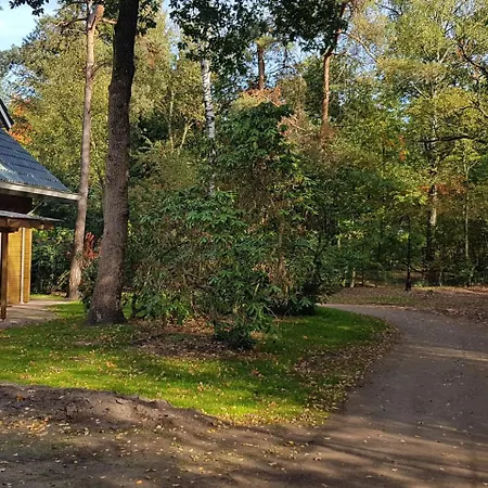 Beautiful House On The Edge Of The Forest בית נופש